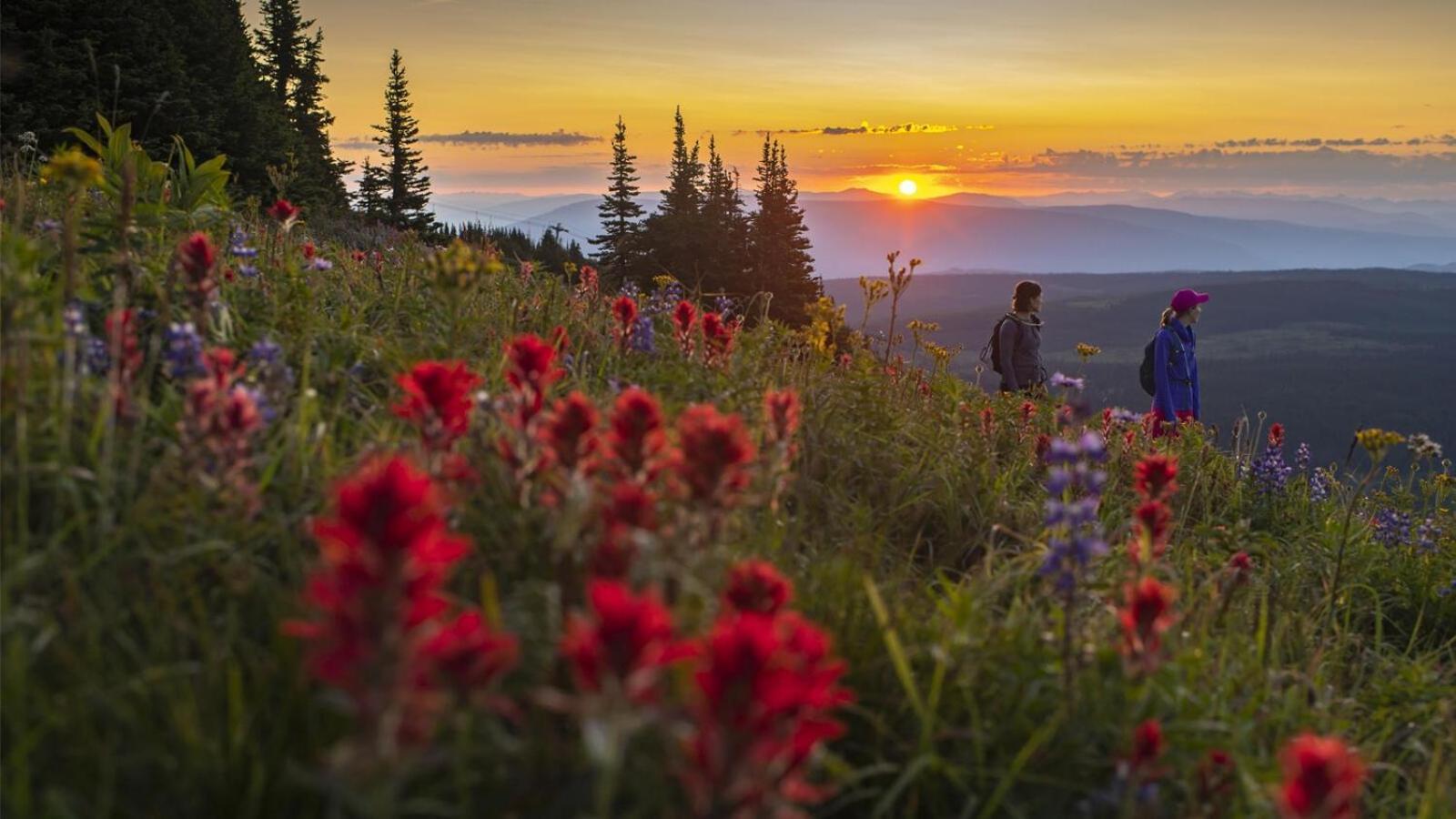 Holiday Home Sun Peaks Esterno foto